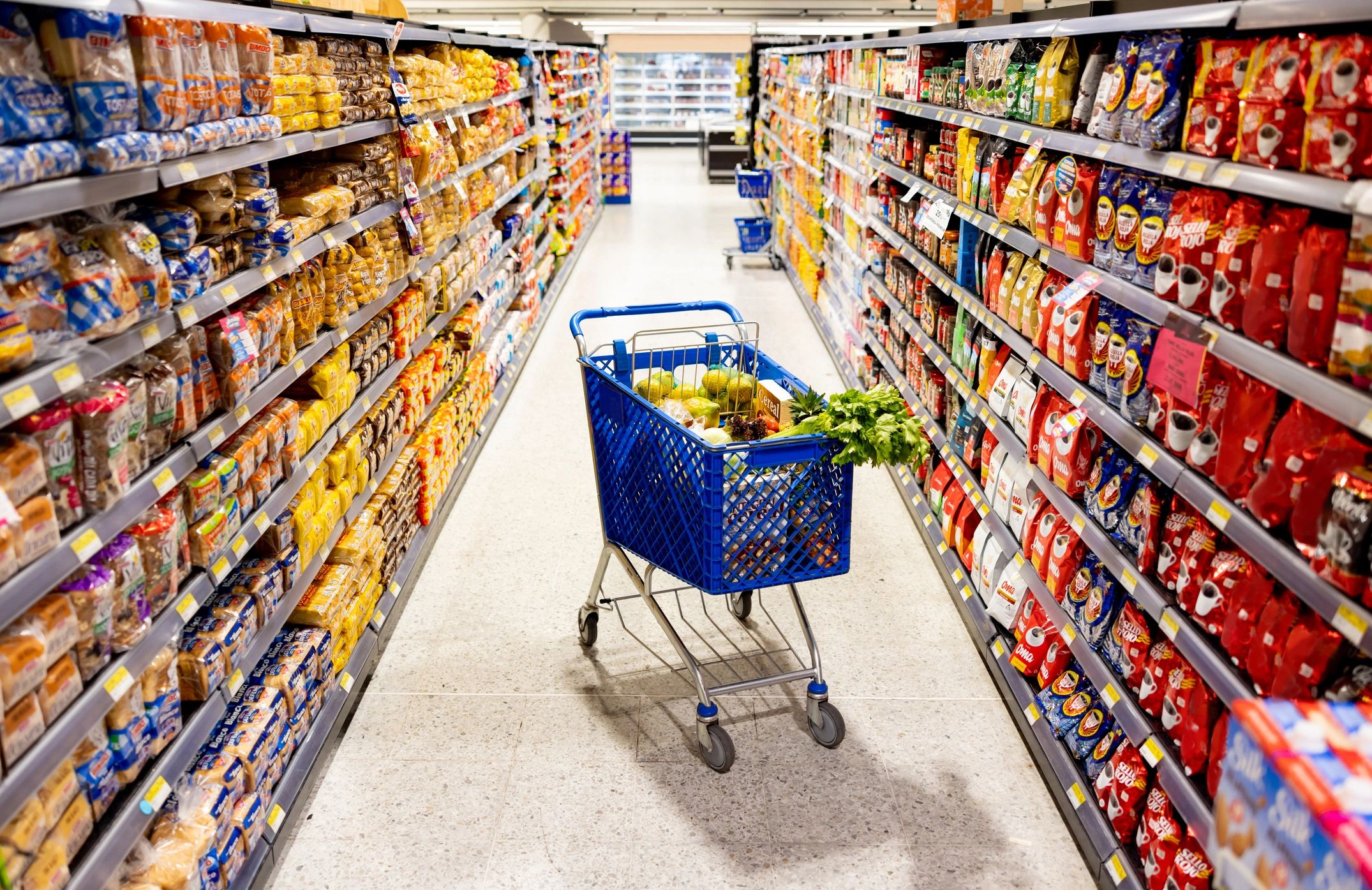 Shopping cart in supermarket aisle